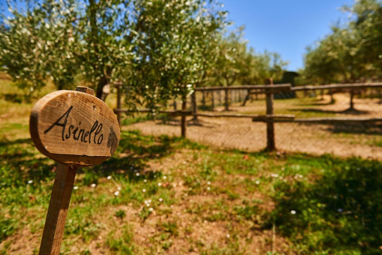 Вилла Casale Di Valle Винчи Экстерьер фото
